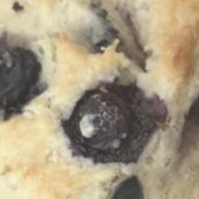 Blueberry English Muffins  1/2 Doz 
