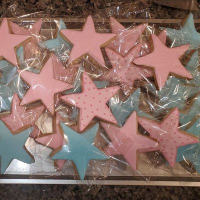Basic Plain Color Iced Sugar Cookies 