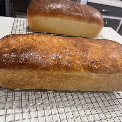 Copy Cat Wonder Bread Sour Dough Loaf 13 X4 