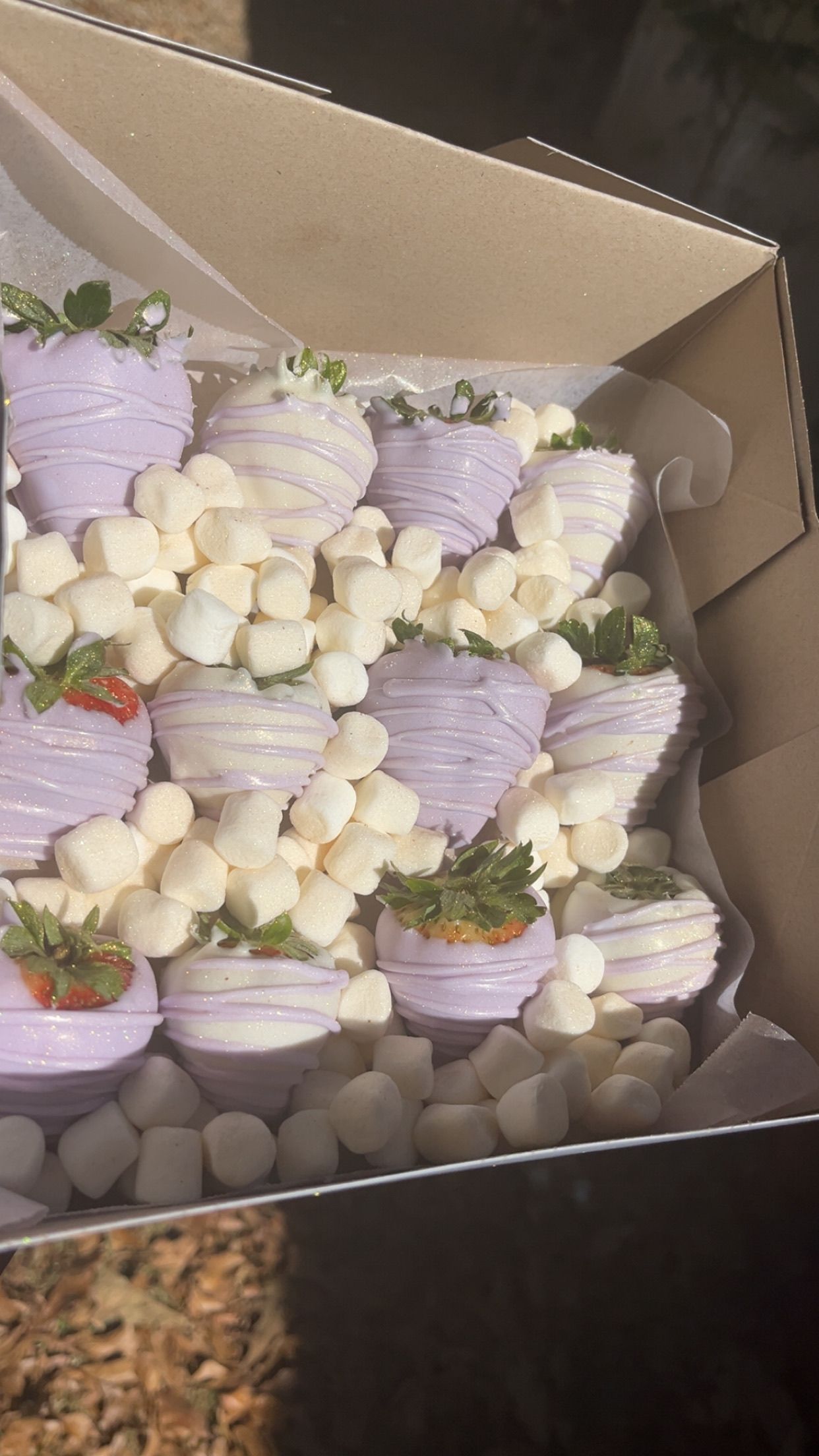 Chocolate Covered Strawberries 