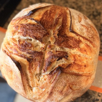 Sourdough Roasted Garlic Parmesan 