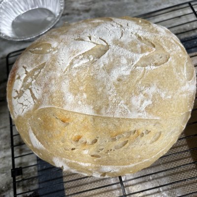 Sourdough Bread Plain