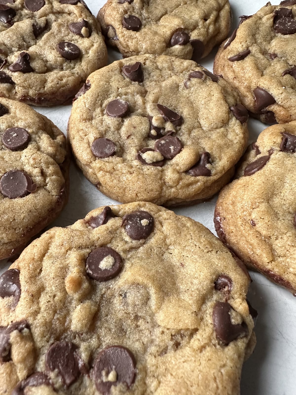 CLASSIC CHOCOLATE CHIP