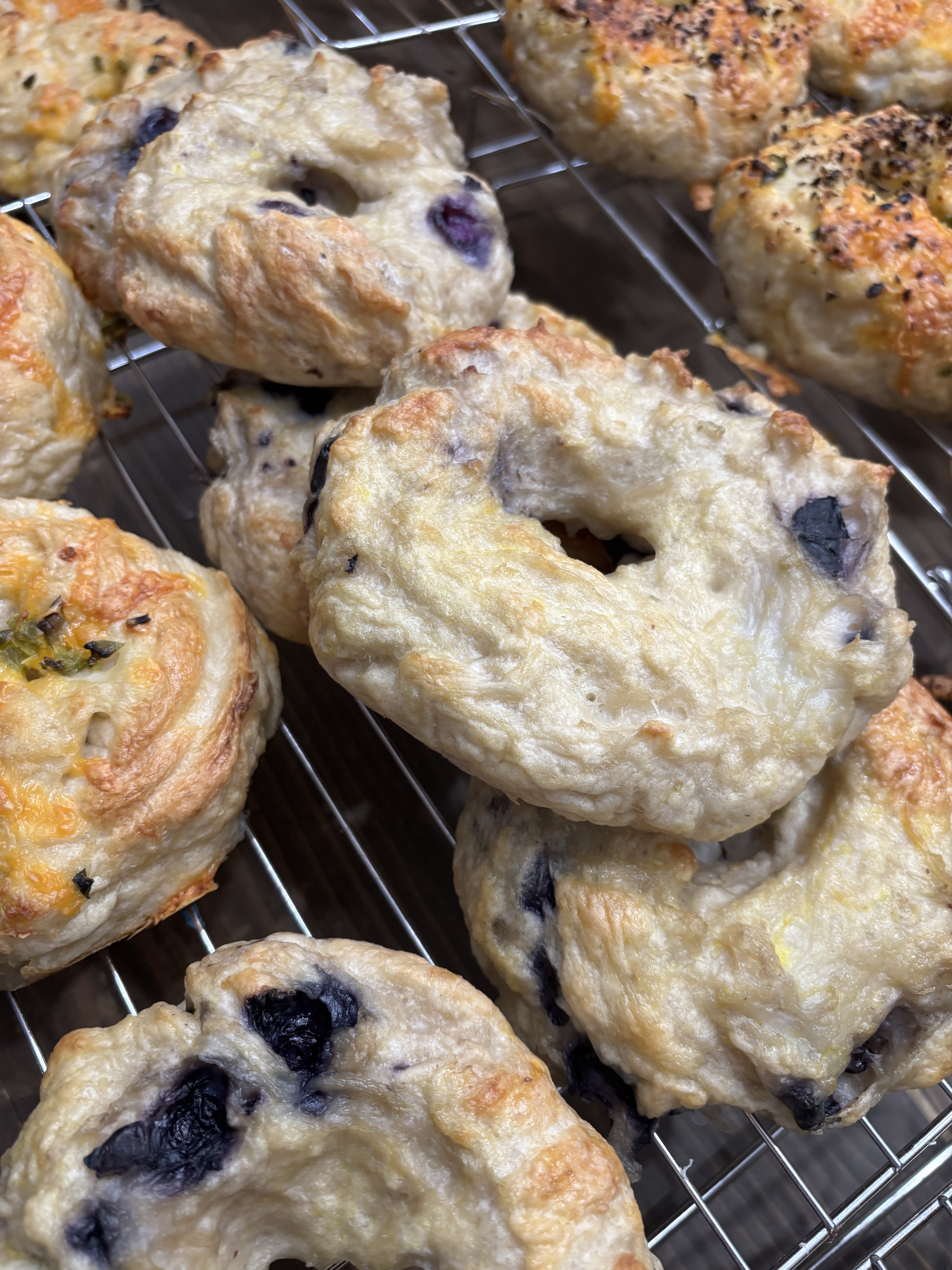 Blueberry Bagels