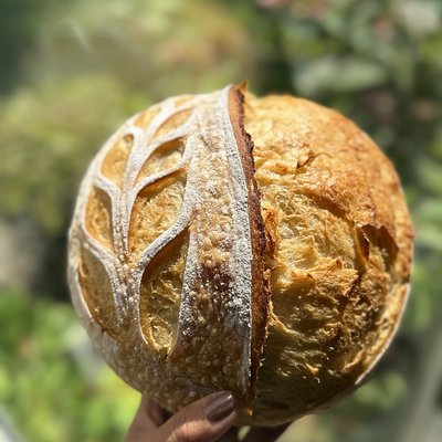Organic Original Sourdough Bread