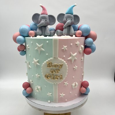 Gender Reveal Cake 