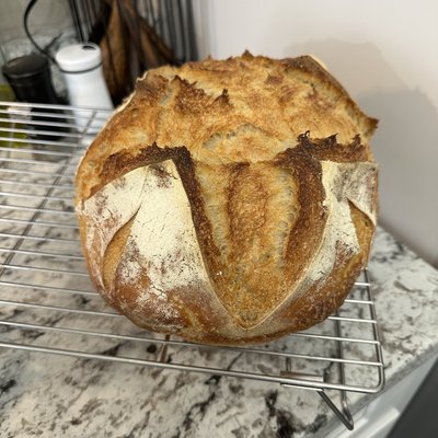 Garlic & Herb Sourdough Boule