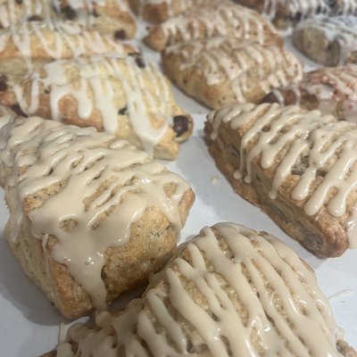 Scone 6-pack