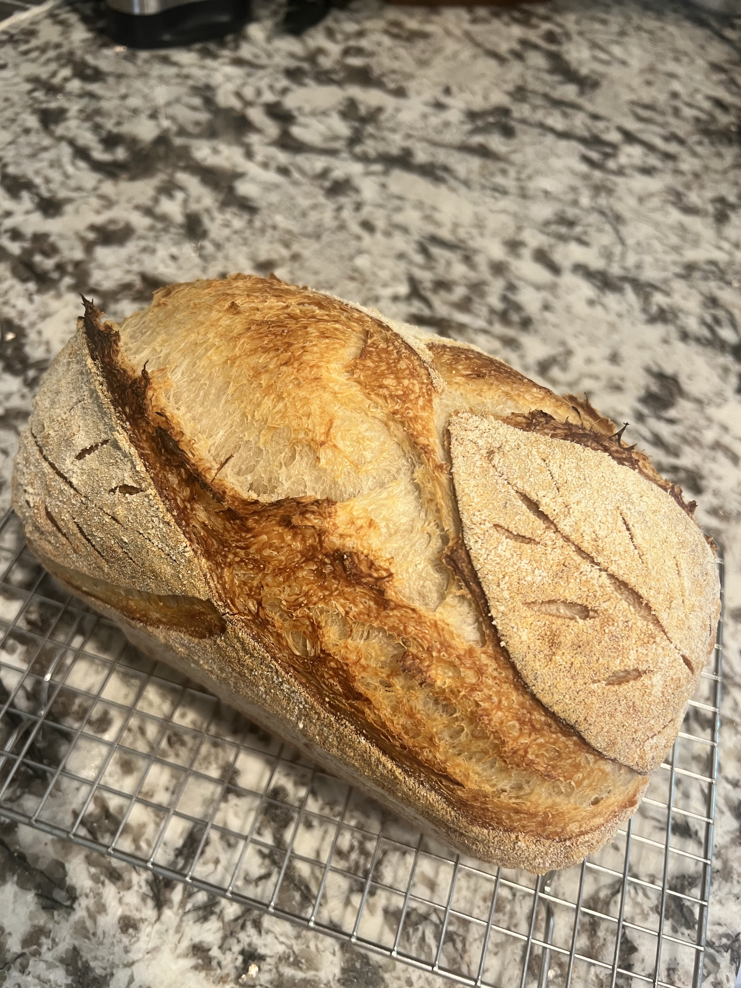 Sourdough Bread Batard