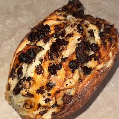 Chocolate Chip