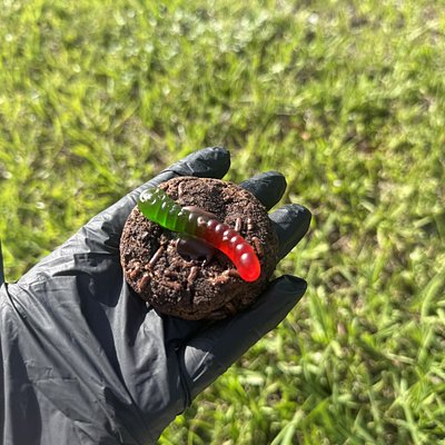 Dirt & Worms - 2 Pack