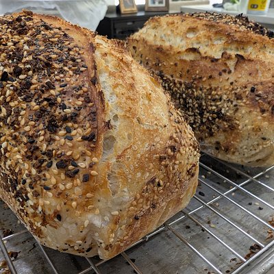 Everything Bagel Sourdough Loaf