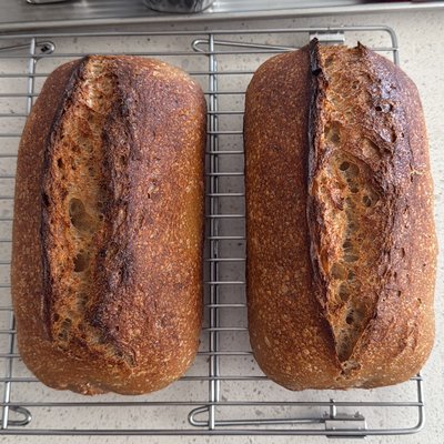 Plain Sourdough