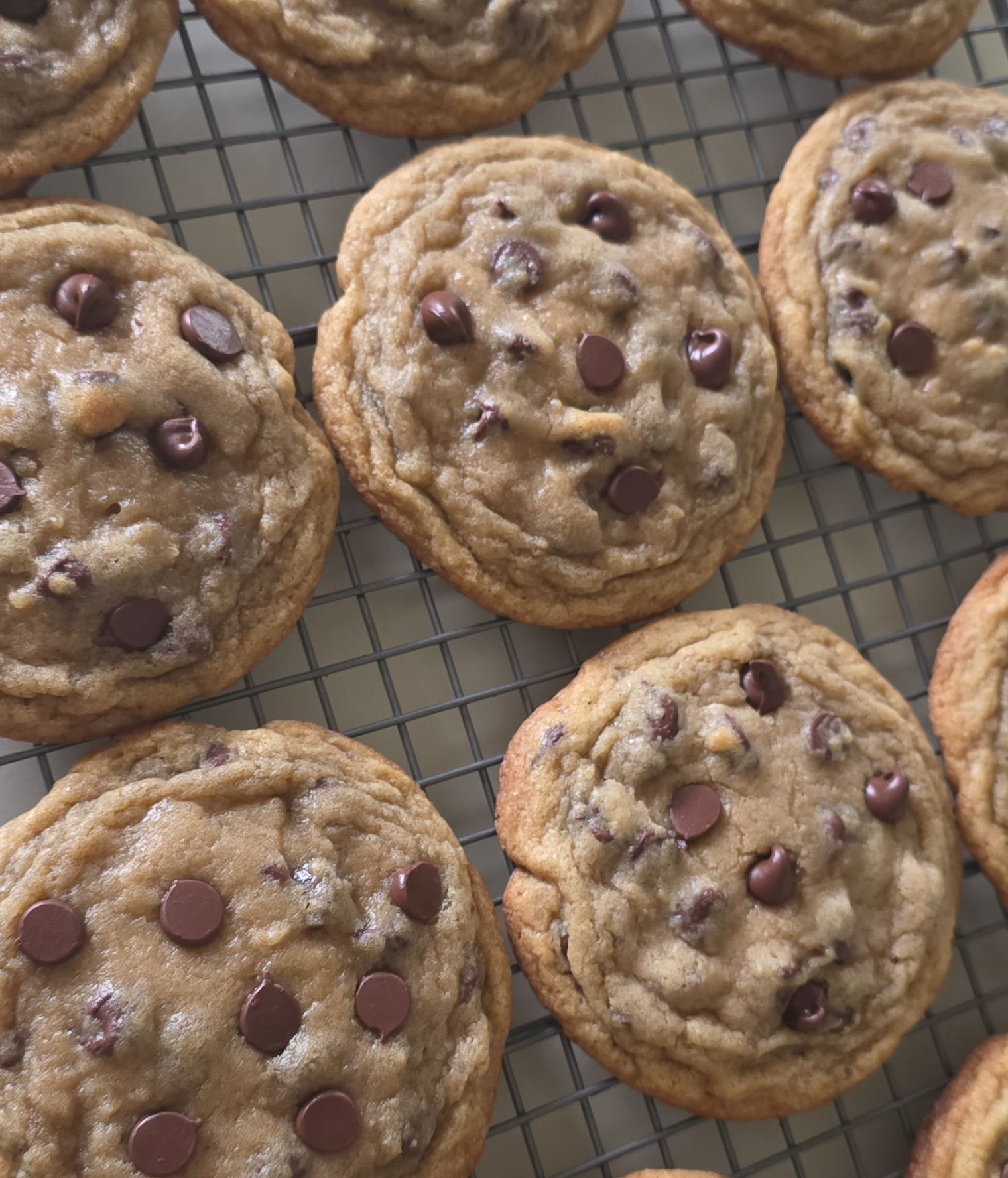 Chocolate Chip Cookies (3 Pack)