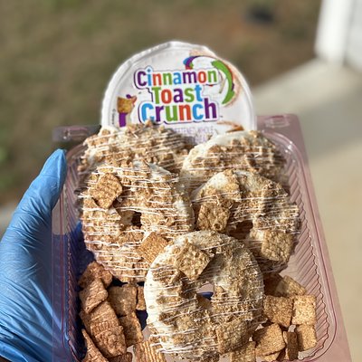 Chocolate Covered Pineapples 