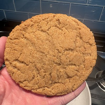 Fresh Milled Snickerdoodle 