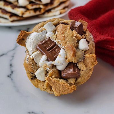 Stuffed Campfire S'MORES (6-Pack)