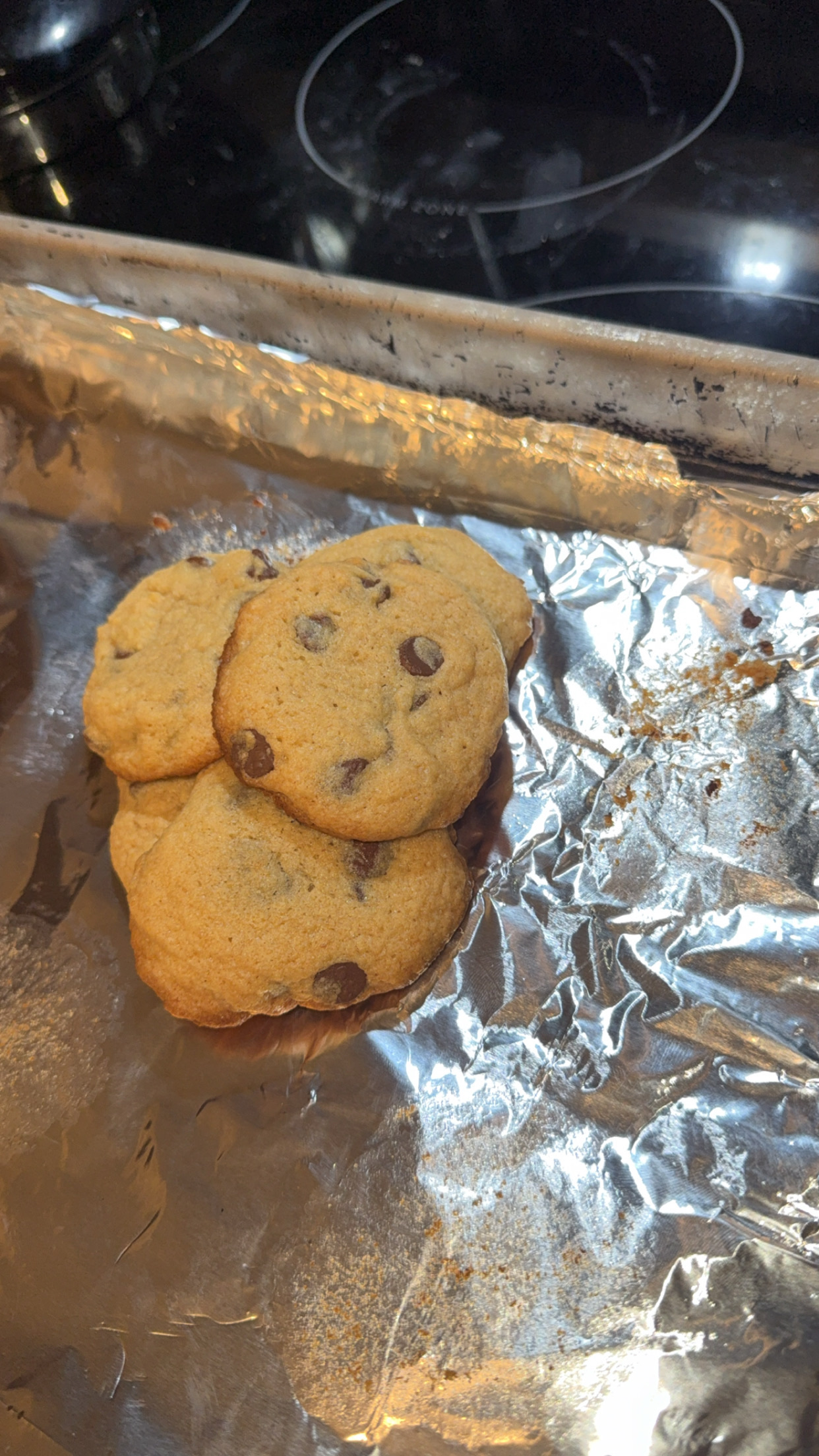 Chocolate Chip Cookie