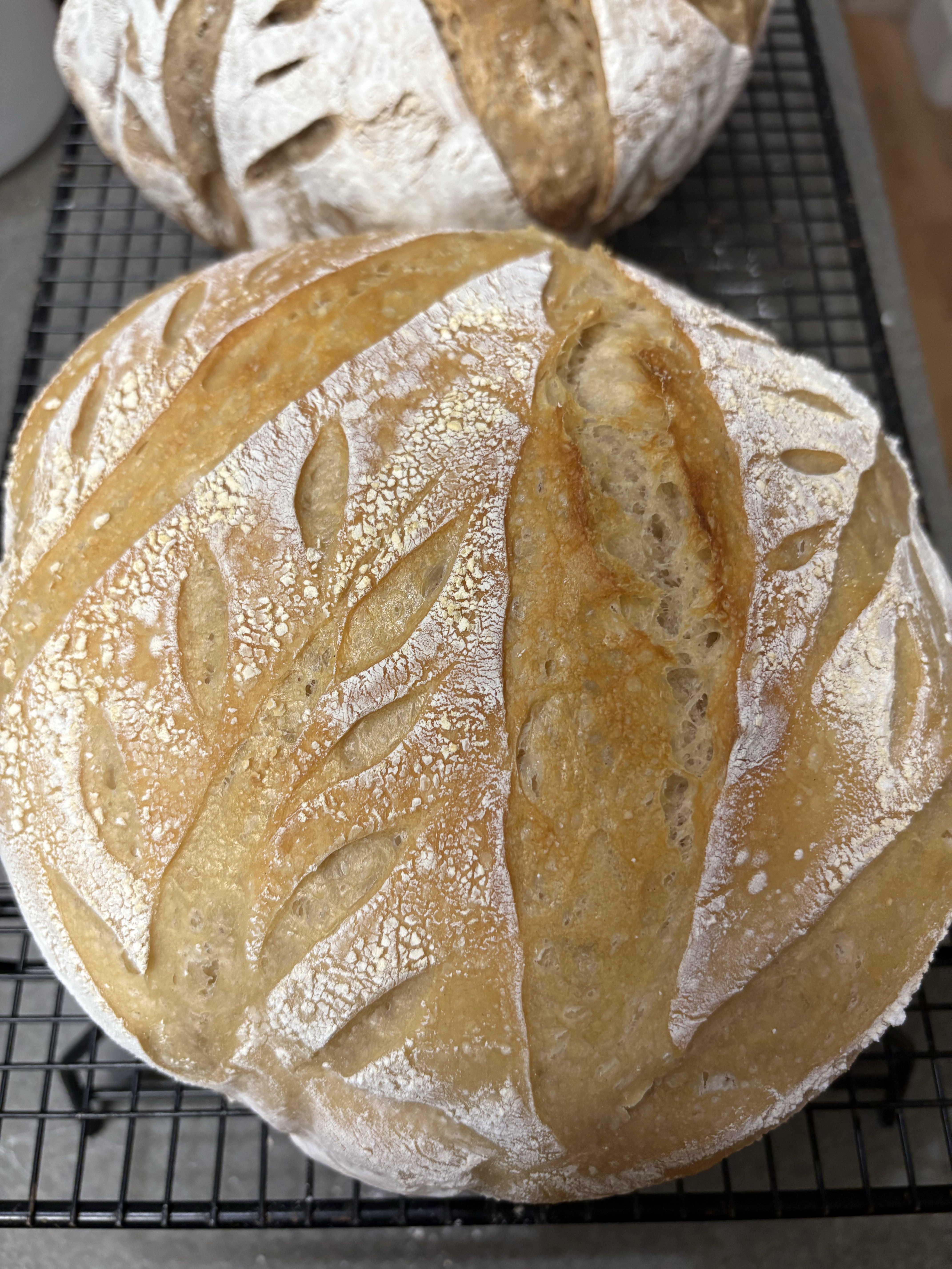 Traditional Sourdough Loaf 