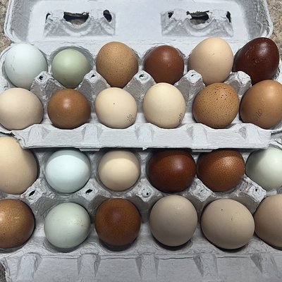 Farm Fresh Eggs - 18 Count