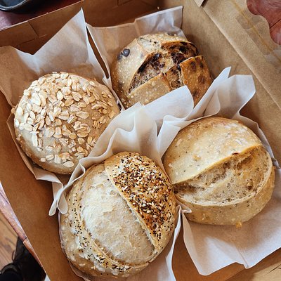 Sourdough Flight 