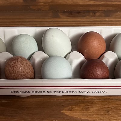 Jumbo Rainbow Eggs (One Dozen)