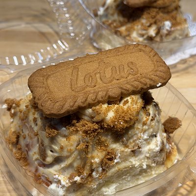 Biscoff Protein Cinnamon Roll