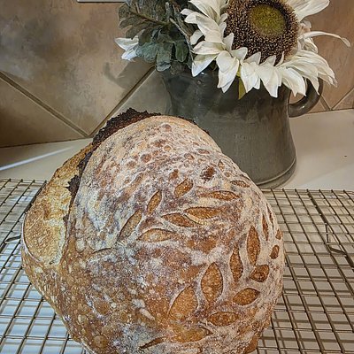 Plain Sourdough 🍞