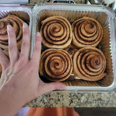 Single Cinnamon Roll