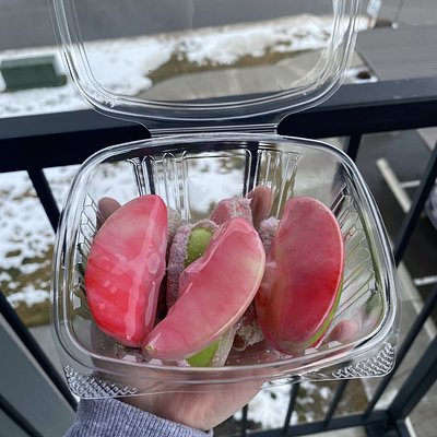 Candied Apple Slices (8)