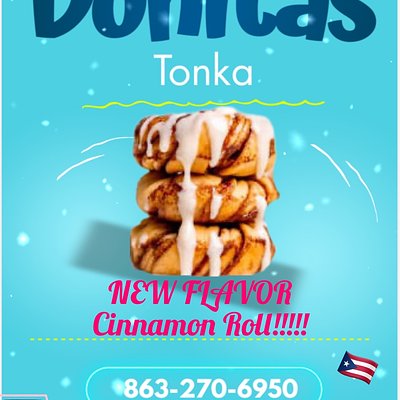 Mini Donitas Dozen (Cinnamon Roll) 