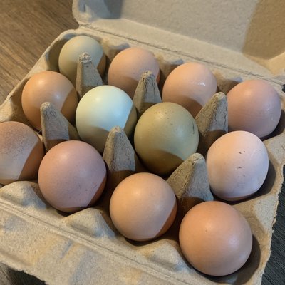 Chicken eggs 1 dozen washed / or unwashed 