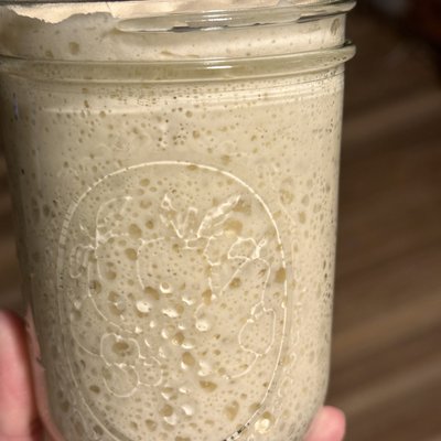 Sourdough Starter