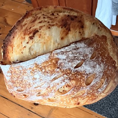 Garlic Parm GF Sourdough Loafs