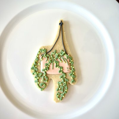 Hanging Plant - Dozen