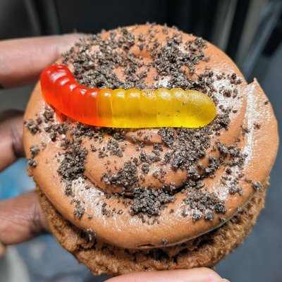 Worms In Dirt