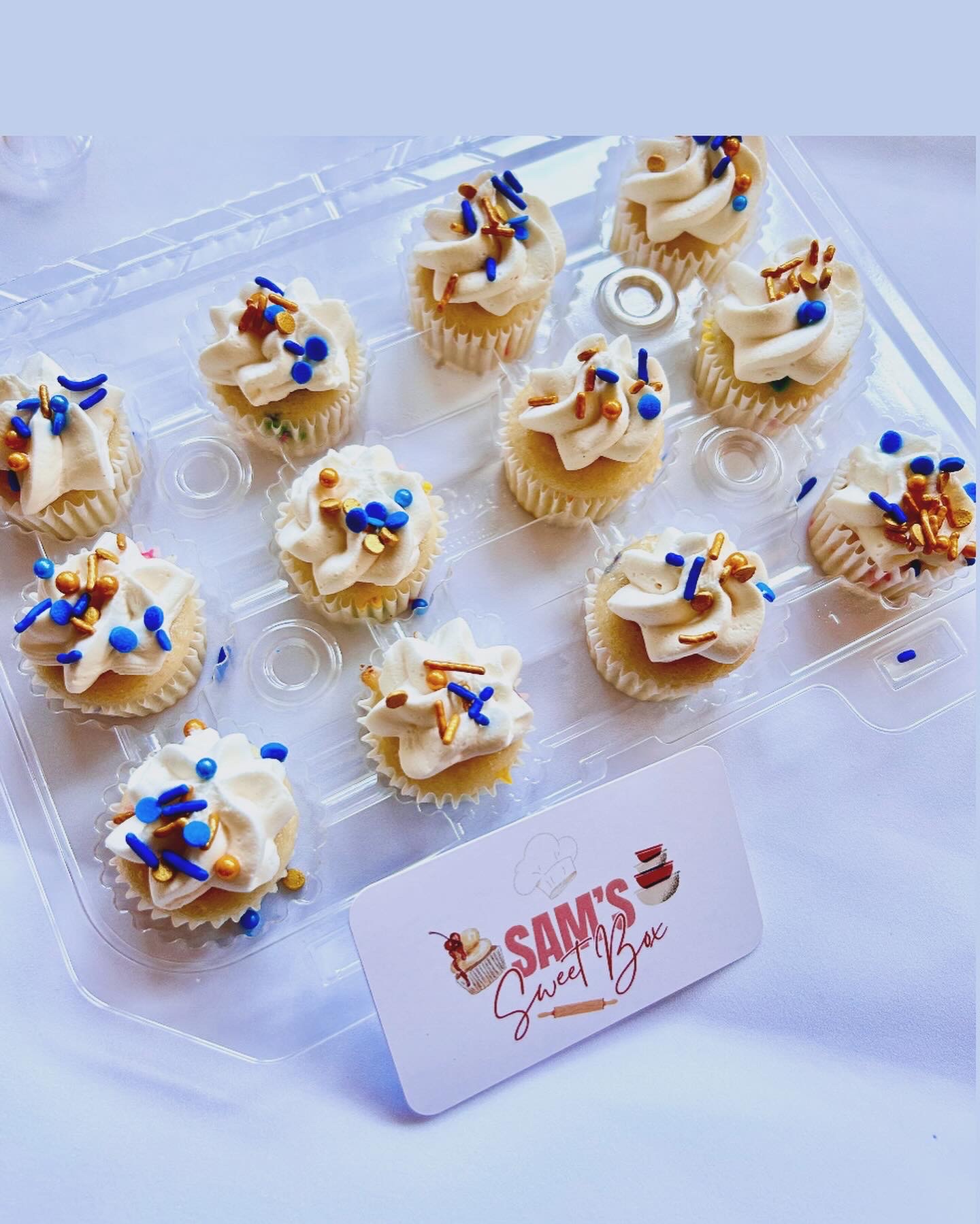Mini Cupcakes (2 Dozen) 