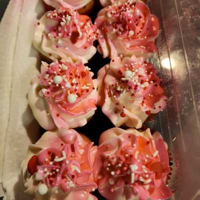 Cupcakes Dozen