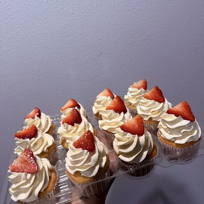 Cupcakes 