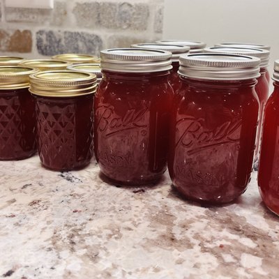 Pint Scuppernong Jelly