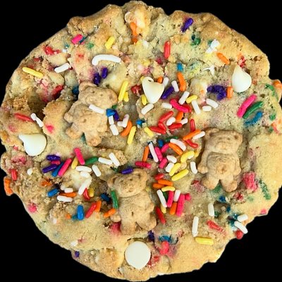 Funfetti Teddy- 8 Pack
