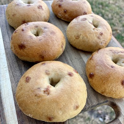 Cinnachip Bagel Pack