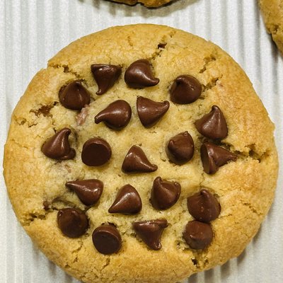 Chocolate Chip