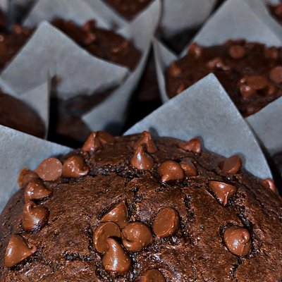 Double Chocolate Muffins