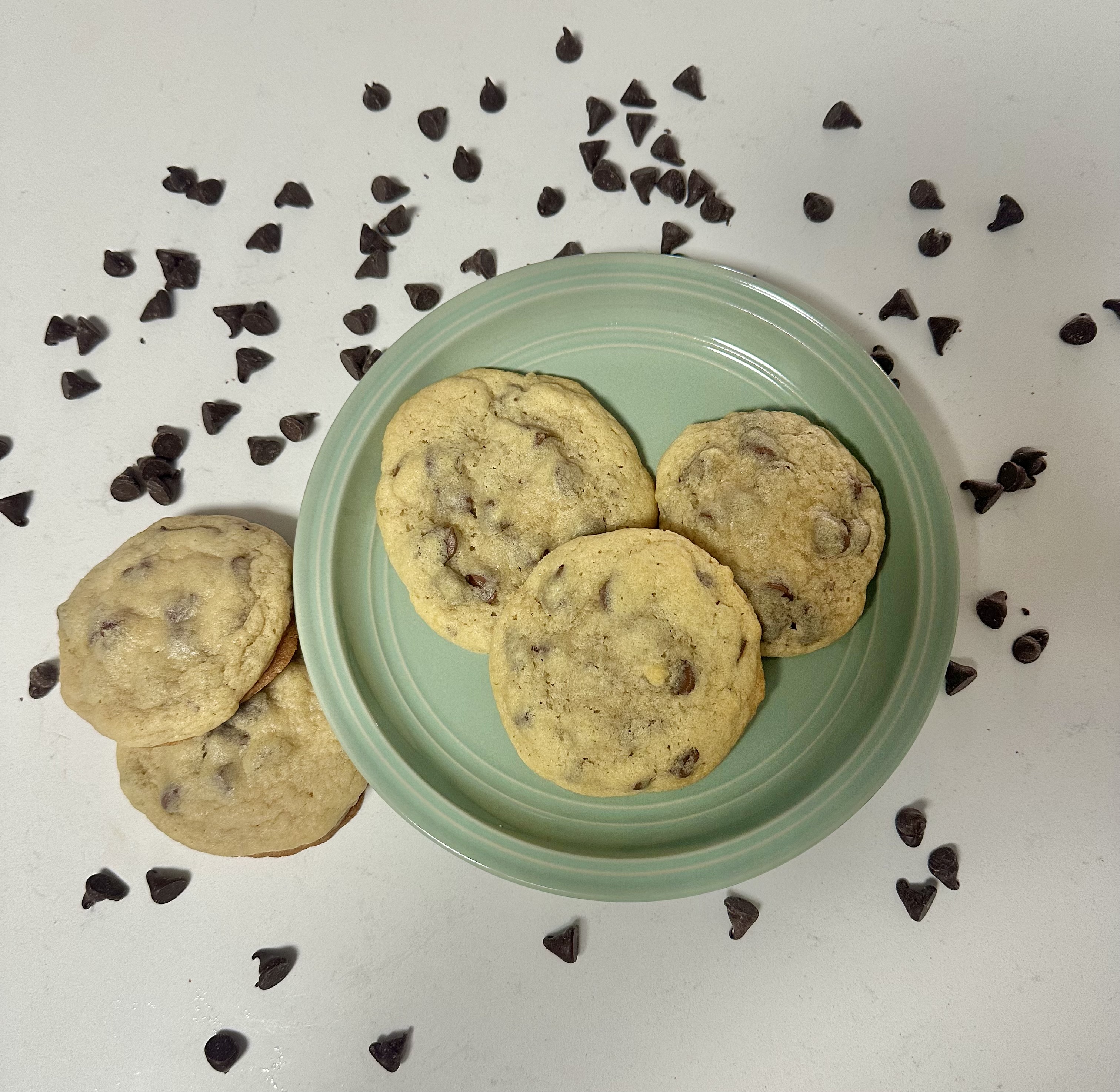 Chocolate Chip