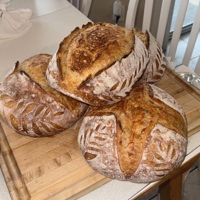 Original/Plain Sourdough Loaf