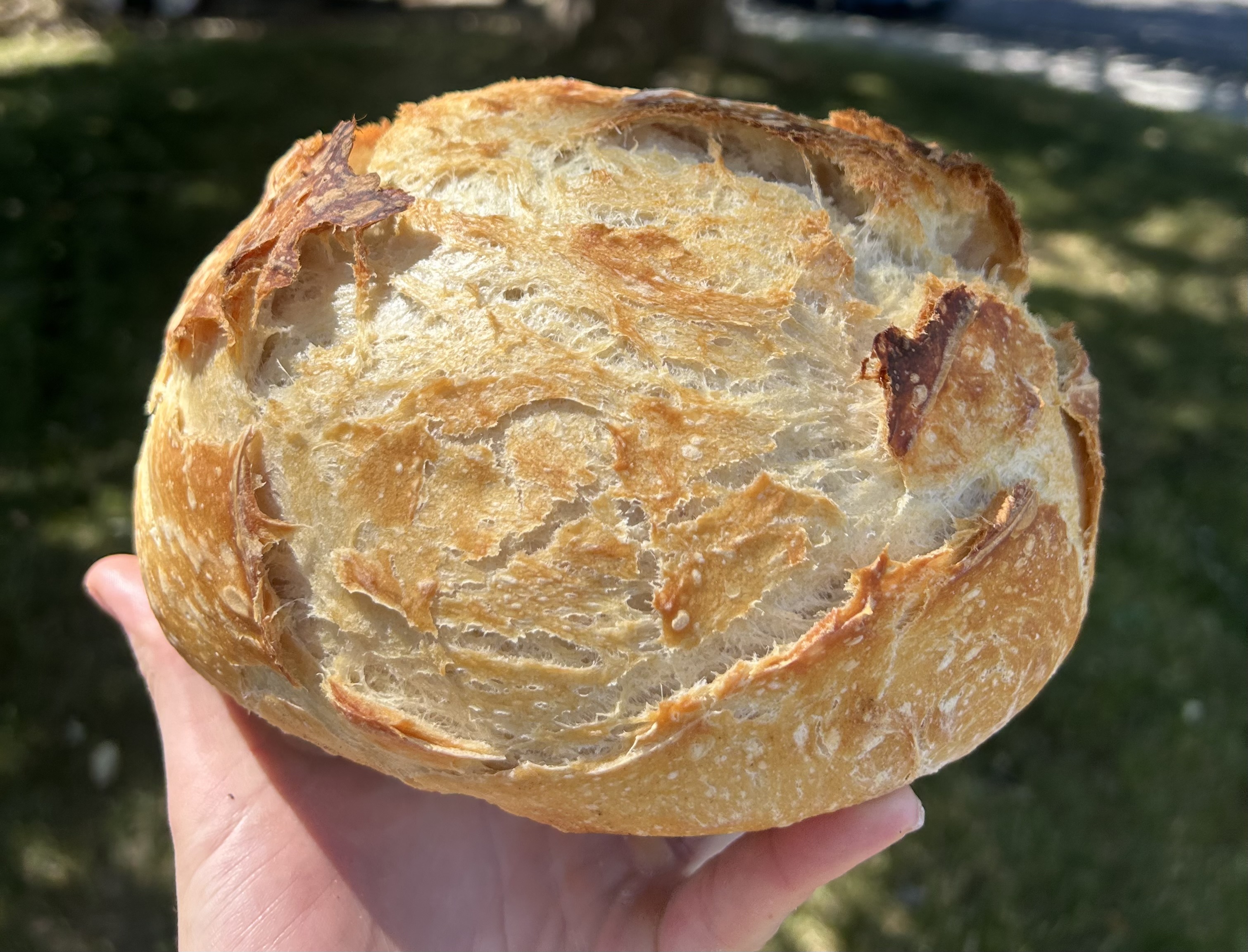 Sourdough Loaf