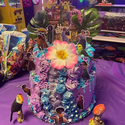 A Ecanto Theme cake