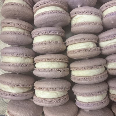 Lavender 