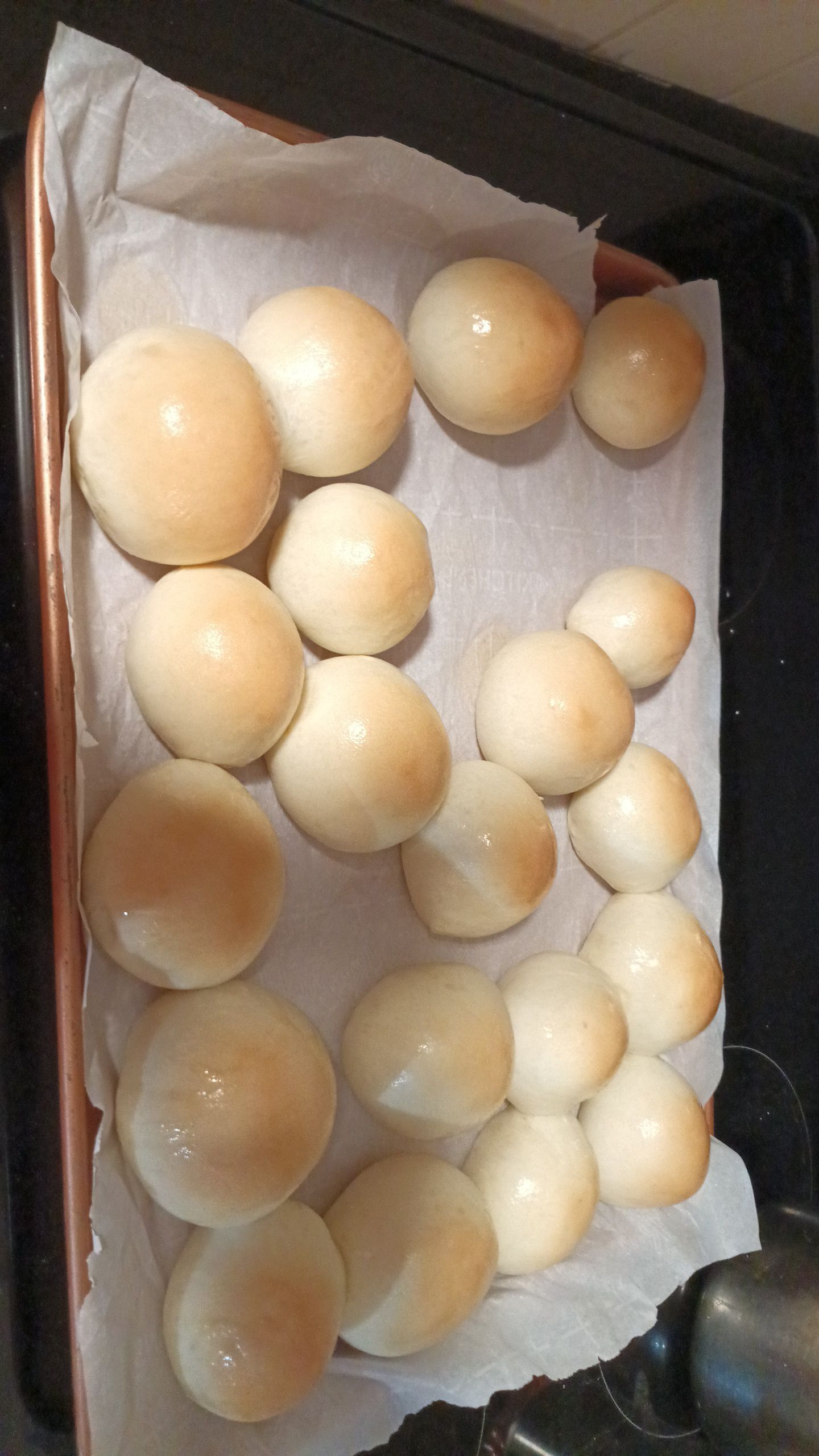 Honey Cinnamon Butter Rolls